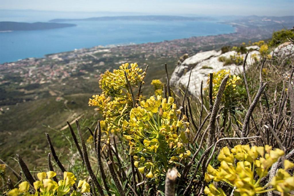 Apartmani Strada Kaštela Extérieur photo